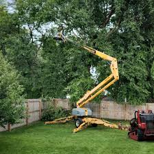 Best Commercial Tree Services  in Redwood City, CA