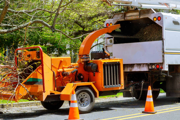 Best Grass Overseeding  in Redwood City, CA