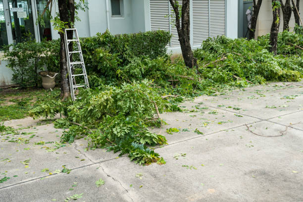 Best Utility Line Clearance  in Redwood City, CA